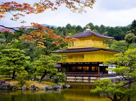 Vé máy bay đi Nhật