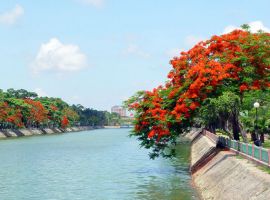 Vé máy bay Hải Phòng