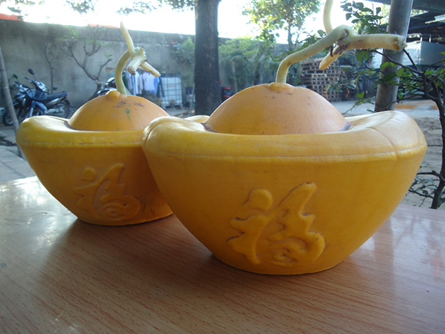 Những loại trái cây độc đáo trong mâm ngũ quả ngày Tết