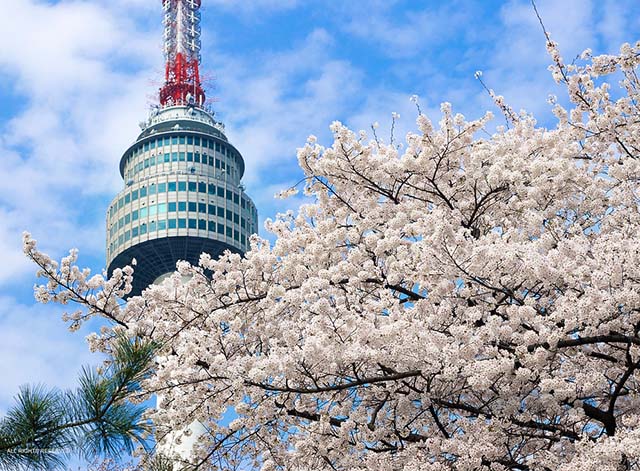 5k vé máy bay khuyến mãi đi Hàn Quốc miễn phí