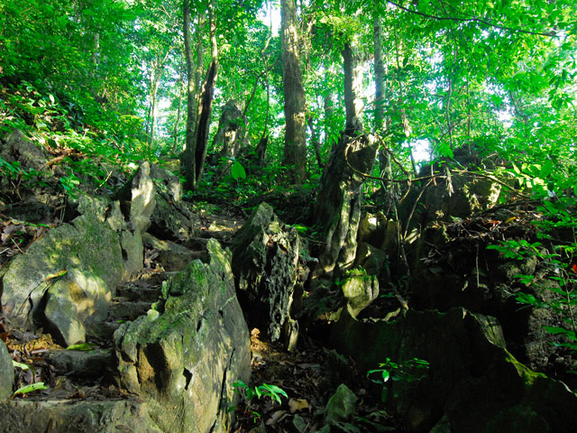 danh-lam-thang-canh-viet-nam