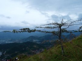 Du lịch Nha Trang – Leo núi Cô Tiên