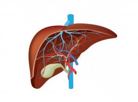 Mẹo giúp giải độc gan trong ngày Tết