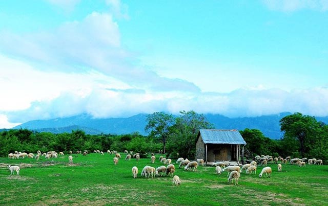 nhung-buc-anh-kho-tin-o-viet-nam-11