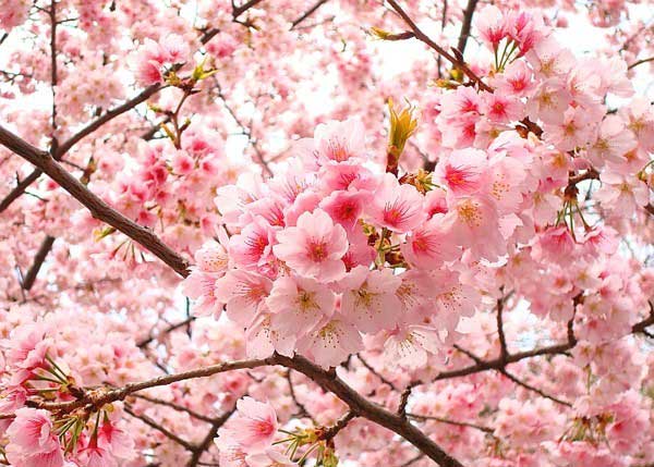 Vé máy bay khuyến mãi du lịch 30 tháng 4