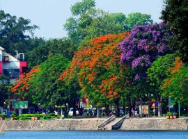 Vé máy bay giá rẻ đi Hà Nội