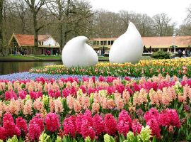 Vé máy bay đi Đà Lạt 99k điểm du lịch lý tưởng