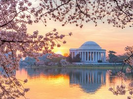 Vé máy bay khuyến mãi đi Mỹ giá rẻ bất ngờ