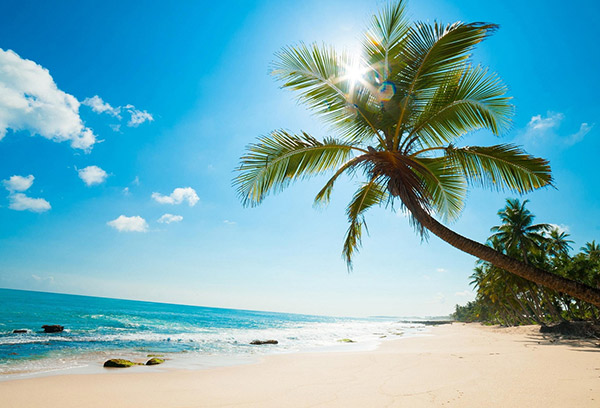 Hình ảnh Vietnam Airlines tung vé máy bay khuyến mãi hè chỉ 299K