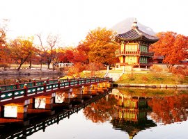 Vé máy bay giá rẻ Hàn Quốc mùa lá đỏ