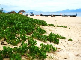 Vé máy bay giá rẻ đi Đồng Hới