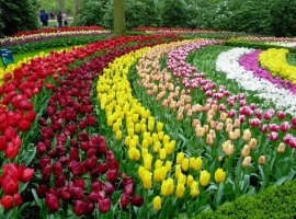 Vé máy bay giá rẻ đến Đà Lạt phố sương mù