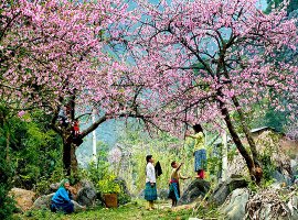 Vé máy bay giá rẻ đi Điện Biên