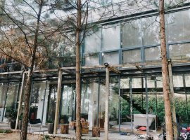 Vé máy bay giá rẻ đi Hà Nội tháng 7