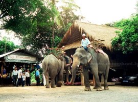 Vé máy bay đi Buôn Ma Thuột