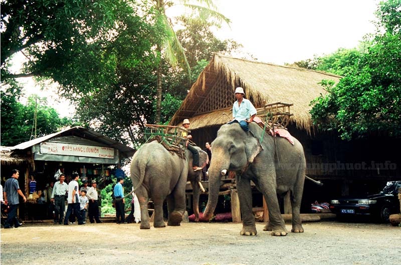 Vé máy bay đi Buôn Ma Thuột
