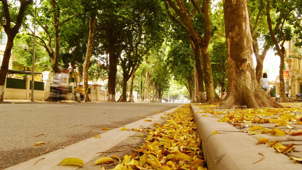 Vé máy bay Đà Nẵng Hà Nội