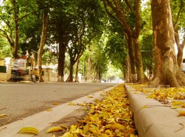 Vé máy bay Đà Nẵng Hà Nội chỉ từ 138.000 đồng