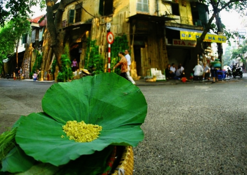 Vé máy bay Huế Hà Nội