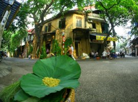 Vé máy bay Pleiku đi Hà Nội