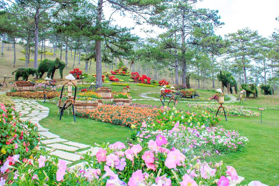 Vé máy bay Vinh Đà Lạt