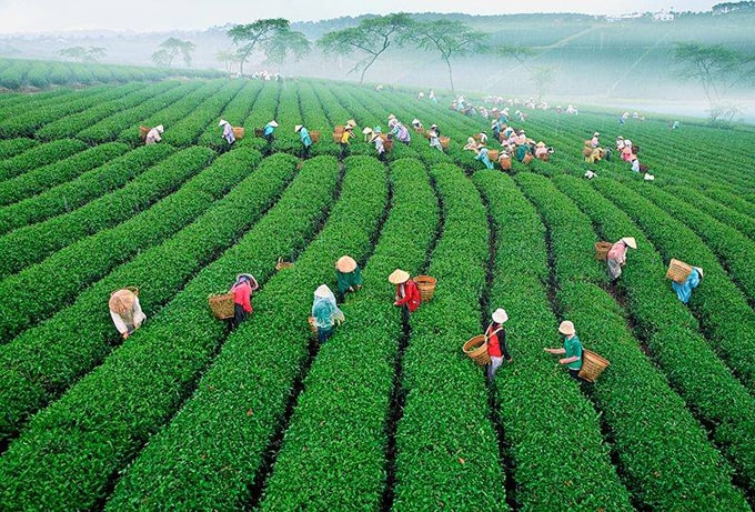 Vé máy bay Vinh Đà Lạt