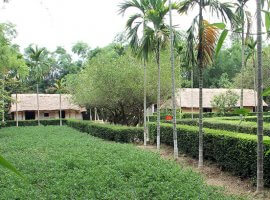 Vé máy bay Đà Lạt Vinh giá chỉ có 299.000 VNĐ