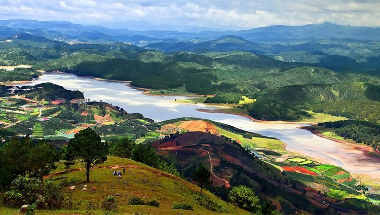 Vé máy bay đi Đà Lạt bao nhiêu tiền