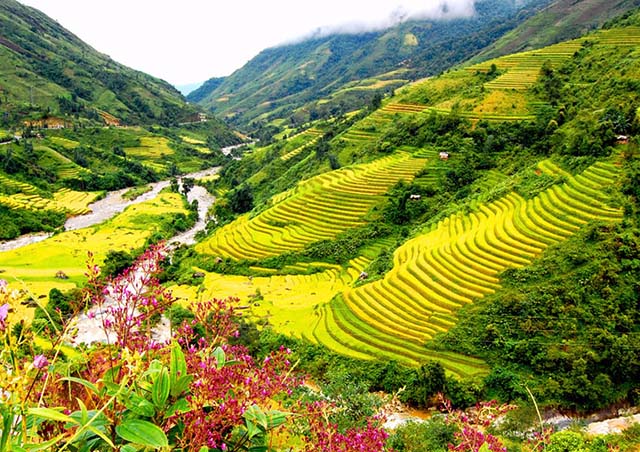 5 điểm du lịch trong nước tuyệt vời nhất Tết 2015