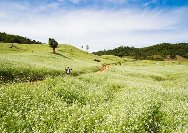 5 điểm du lịch trong nước tuyệt vời nhất Tết 2015