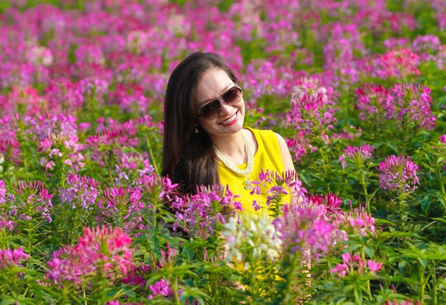 ve-may-bay-di-ha-noi-chup-anh-cung-hoa-tuy-diep8