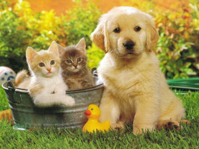 Dịch vụ kiếm tiền ngày Tết độc và lạ