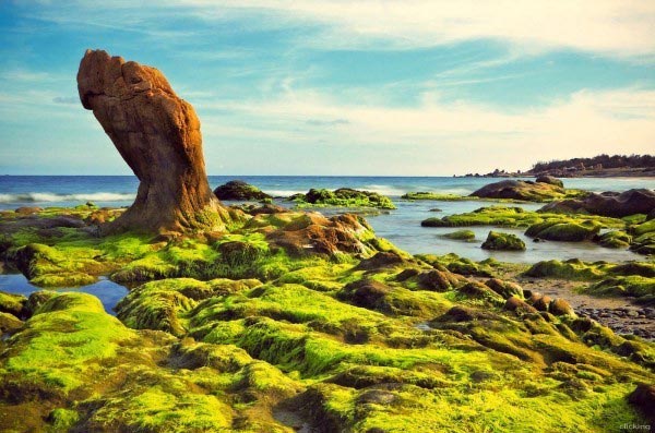 nhung-buc-anh-kho-tin-o-viet-nam-08
