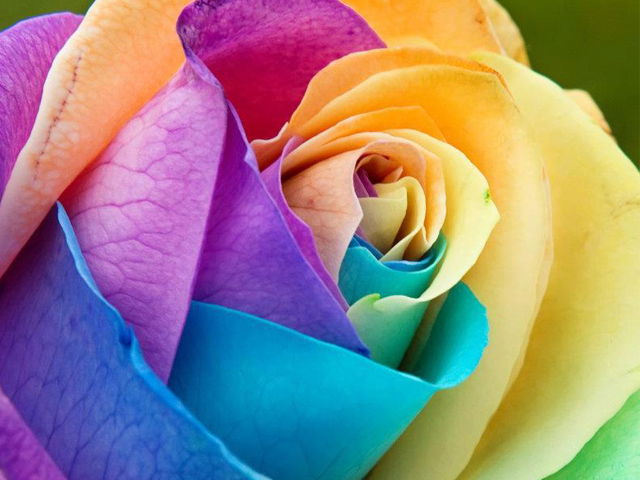 qua-tang-valentine-sang-chanh-va-y-nghia2