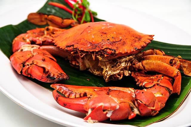 10 điều tuyệt vời nhất ở Singapore