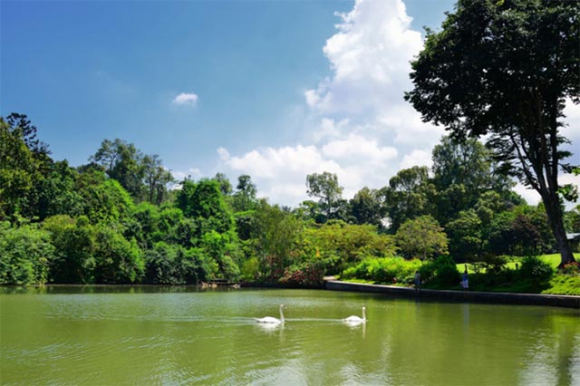 10-dieu-tuyet-voi-nhat-o-singapore-02