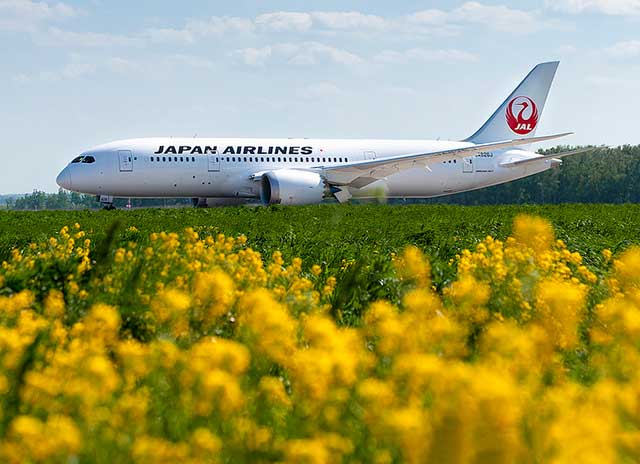 ghe-hang-pho-thong-tot-nhat-the-gioi-05-japan-airlines
