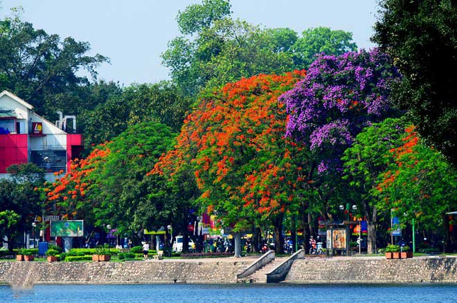 Vé máy bay giá rẻ đi Hà Nội