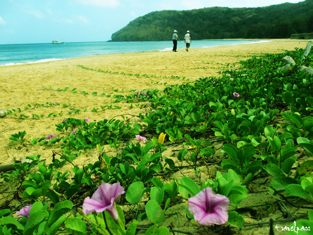 Vé máy bay Côn Đảo và những điều bạn chưa biết