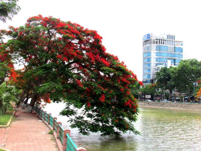 Hải Phòng - thành phố thân yêu