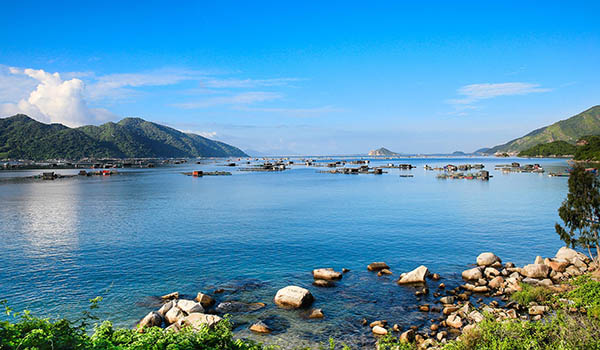 Vé máy bay giá rẻ khám phá vùng đất Tuy Hòa xinh đẹp