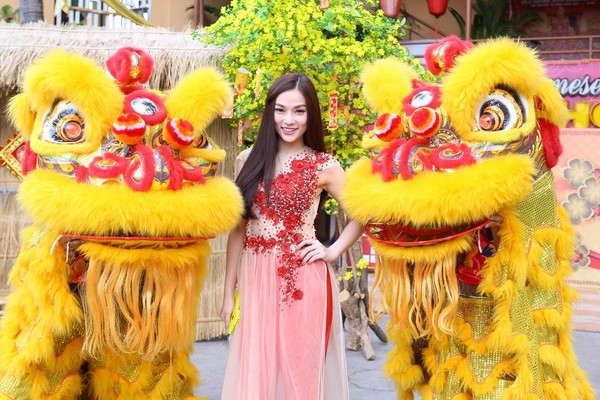 Vietjet mở bán 1 triệu rưỡi vé máy bay Tết Dinh Dậu 2017