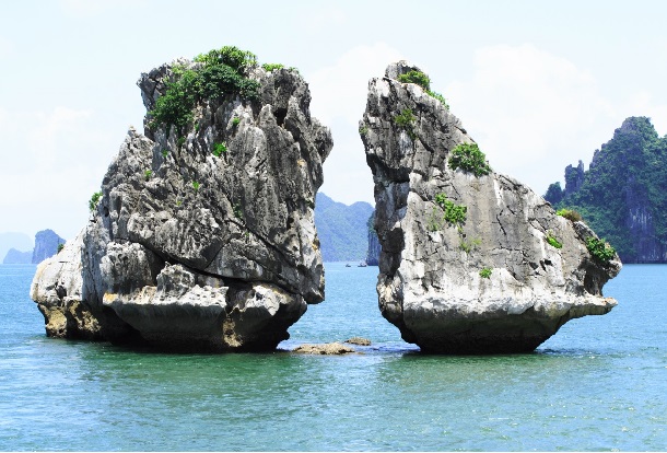 Hòn Gà Chọi