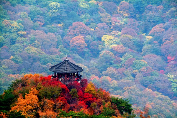 Vườn quốc gia Naejangsan