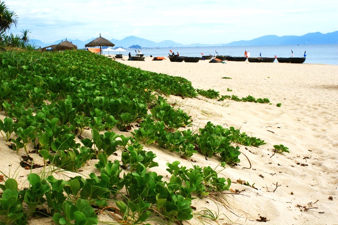 Vé máy bay giá rẻ đi Đồng Hới