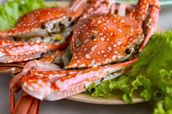 Ghẹ Hàm Ninh
