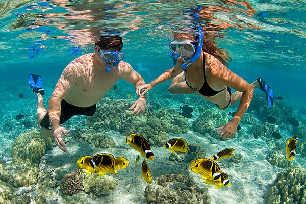 Tour lặn biển ngắm san hô