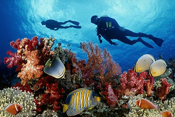 Khu bảo tồn với hệ sinh thái đa dạng