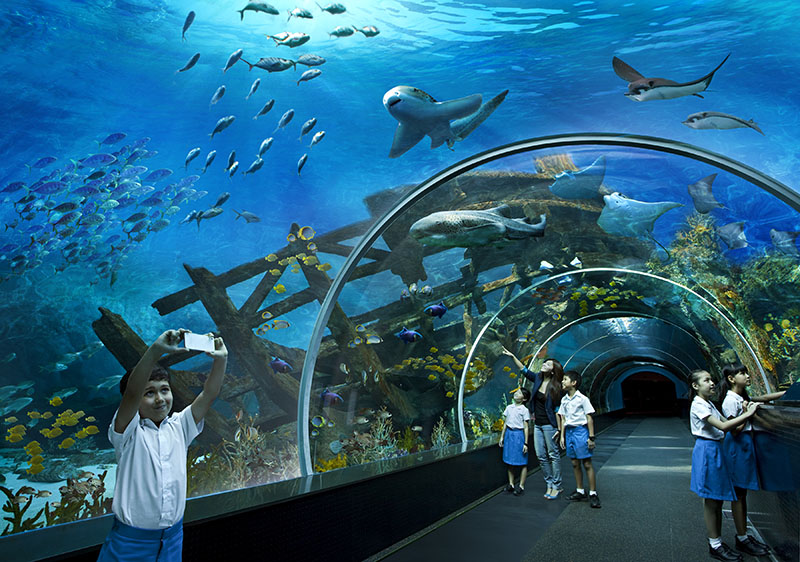 Thủy cung S.E.A A Quarium