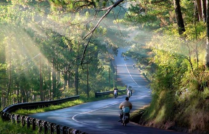 Vé máy bay đi Đà Lạt